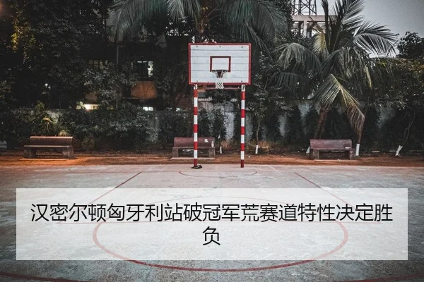 han-mi-er-dun-xiong-ya-li-zhan-po-guan-jun-huang-sai-dao-te-xing-jue-ding-sheng-fu-2-202.jpg